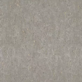 Обои Rasch Metal Spirit 1.06x10.05