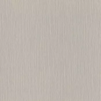 Обои Rasch Metal Spirit 1.06x10.05