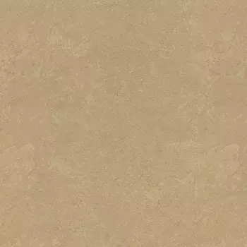 Обои Rasch Metal Spirit 1.06x10.05