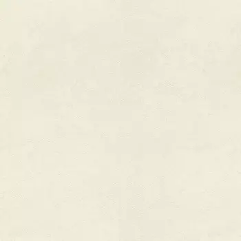 Обои Rasch Metal Spirit 1.06x10.05