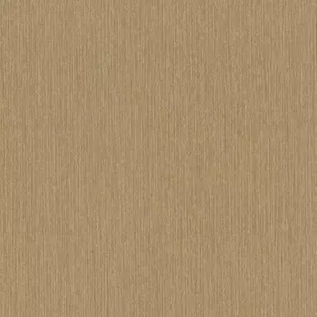 Обои Rasch Metal Spirit 1.06x10.05