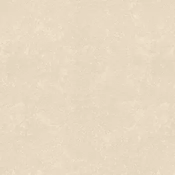 Обои Rasch Metal Spirit 1.06x10.05