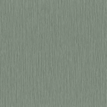 Обои Rasch Metal Spirit 1.06x10.05