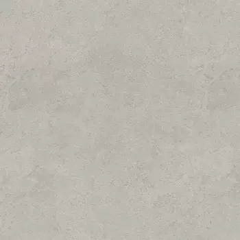 Обои Rasch Metal Spirit 1.06x10.05