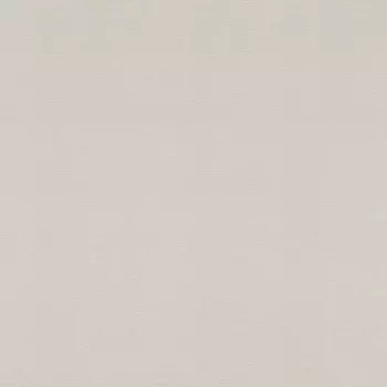 Обои Rasch Salsa 0.53x10.05