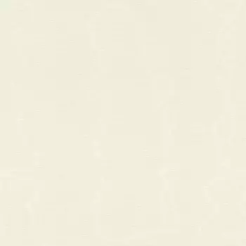 Обои Rasch Salsa 0.53x10.05