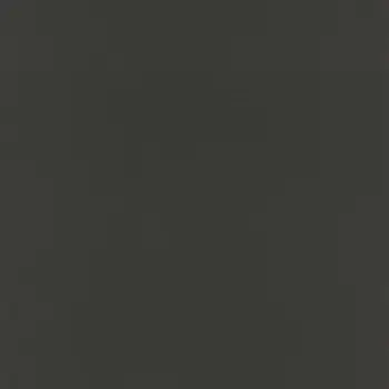 Обои Rasch Salsa 0.53x10.05