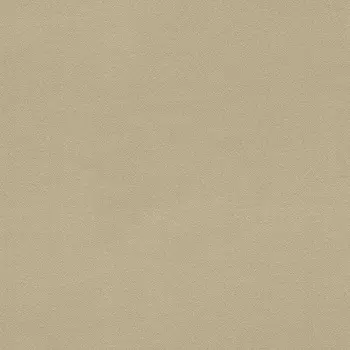 Обои Rasch Salsa 0.53x10.05