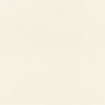 Обои Rasch Salsa 0.53x10.05