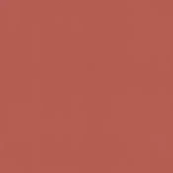 Обои Rasch Salsa 0.53x10.05