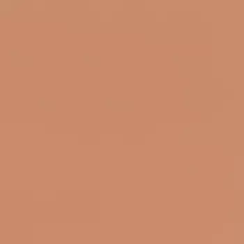 Обои Rasch Salsa 0.53x10.05