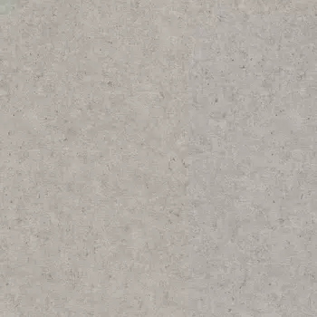 Обои Rasch Trend 1.06x10.05