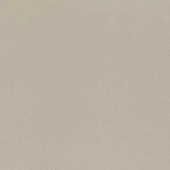 Обои Rasch Trend 1.06x10.05