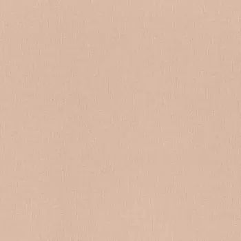 Обои Rasch Trend 1.06x10.05