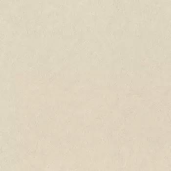 Обои Rasch Trend 1.06x10.05