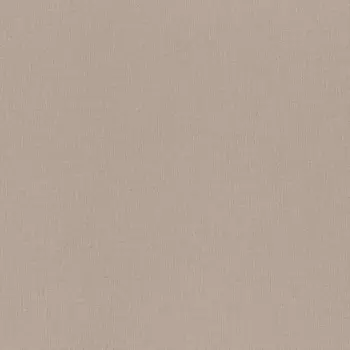 Обои Rasch Trend 1.06x10.05