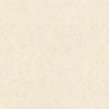 Обои Rasch Trend 1.06x10.05