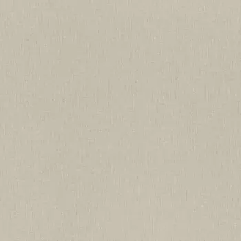 Обои Rasch Trend 1.06x10.05