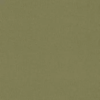 Обои Rasch Trend 1.06x10.05