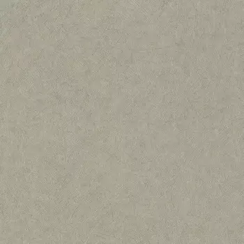 Обои Rasch Trend 1.06x10.05