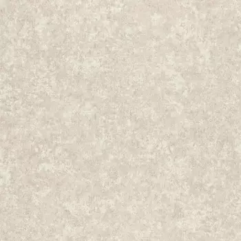 Обои Rasch Trend 1.06x10.05