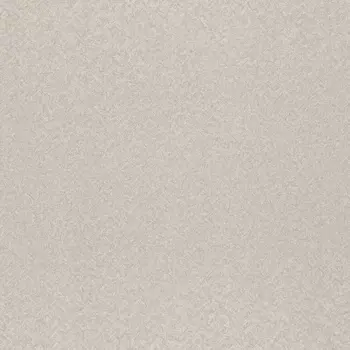 Обои Rasch Trend 1.06x10.05