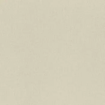 Обои Rasch Trend 1.06x10.05