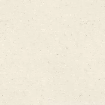 Обои Rasch Trend 1.06x10.05