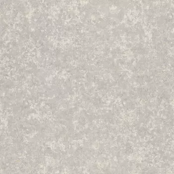 Обои Rasch Trend 1.06x10.05