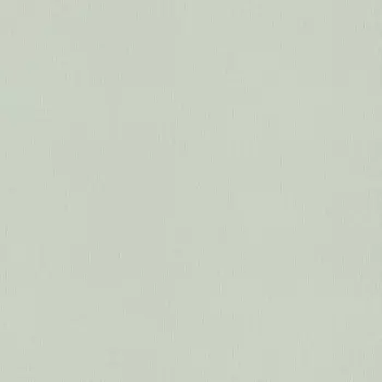 Обои Rasch Trend 1.06x10.05