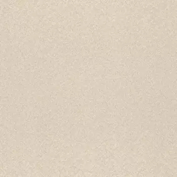 Обои Rasch Trend 1.06x10.05