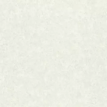 Обои Rasch Trend 1.06x10.05