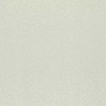 Обои Rasch Trend 1.06x10.05