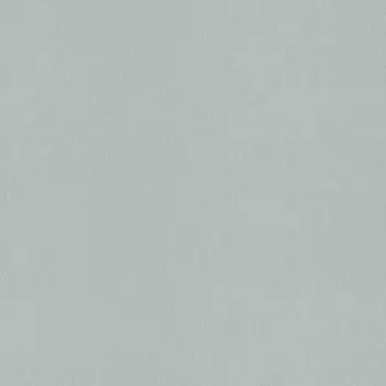 Обои Rasch Trend 1.06x10.05