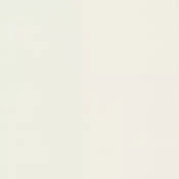 Обои Rasch Trend 1.06x10.05