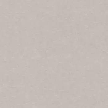 Обои Rasch Wall Textures Xl III 1.06x10.05