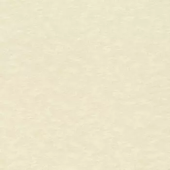 Обои Rasch Wall Textures Xl III 1.06x10.05