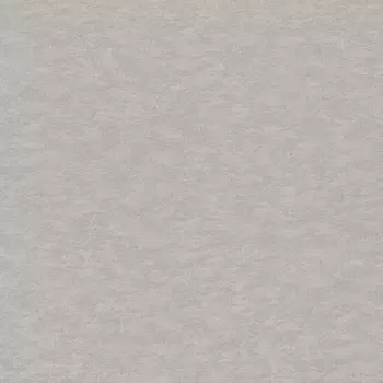 Обои Rasch Wall Textures Xl III 1.06x10.05
