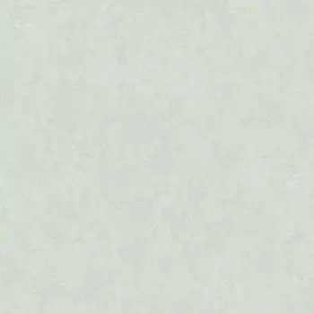 Обои Wall Up Akzent 1.06x10.05