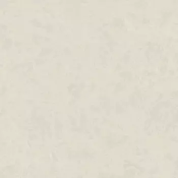 Обои Zambaiti Philipp Plein 1.06x10.05