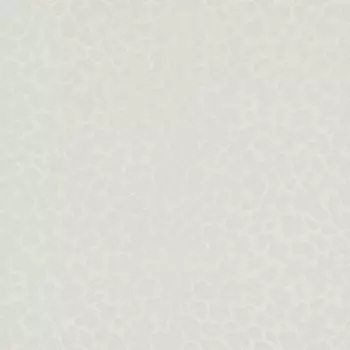 Обои Zambaiti Philipp Plein 1.06x10.05