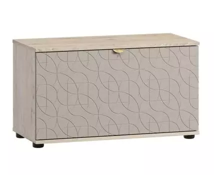 Обувница Монблан-2 Lunge Santiago