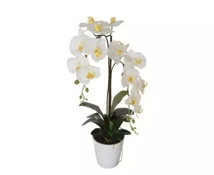 Орхидея в горшке Garda Decor