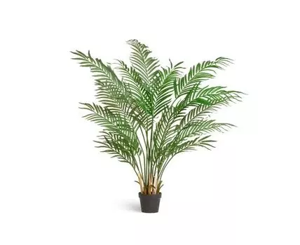 Пальма Арека Форест 140 см