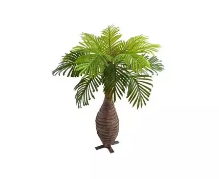 Пальма Эрика