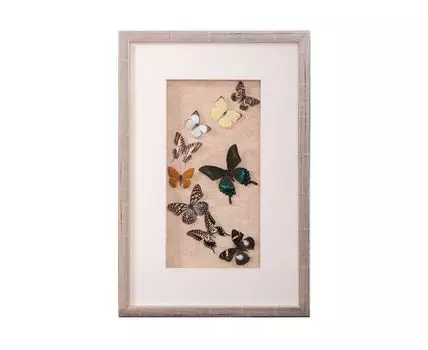 Панно Бабочки (мультиколор, 40)