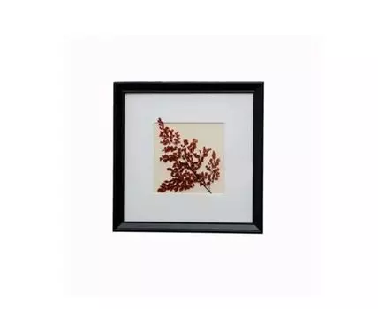 Панно с бордовым папоротником Адиантум (черный, коричневый, 25)