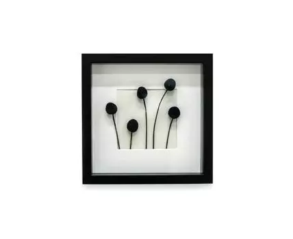 Панно с черной Краспедией (белый, черный, 25)