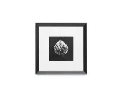 Панно с оттиском листа гортензии (белый, черный, 25)