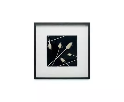 Панно с сухоцветом Кардо (белый, черный, 52)